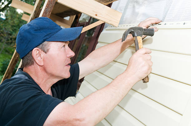 Best Stucco Siding  in Golden Shores, AZ