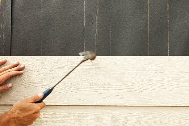 Best Siding for New Construction  in Golden Shores, AZ